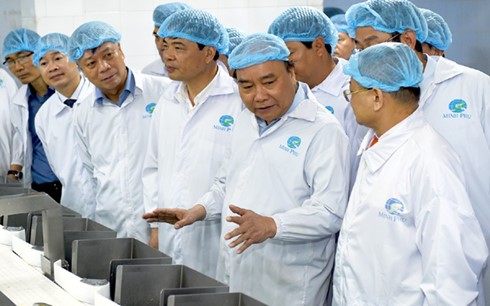 Thủ tướng Nguyễn Xuân Phúc thăm mô hình chế biến tôm tại Tập đoàn Thủy sản Minh Phú, Cà Mau  - ảnh 1